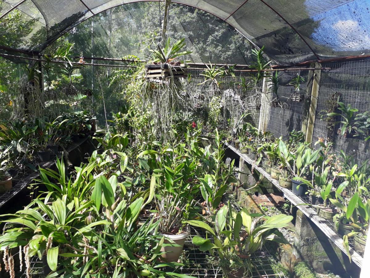 Casa/Sitio Na Serra Em Bom Jardim - Rj מראה חיצוני תמונה