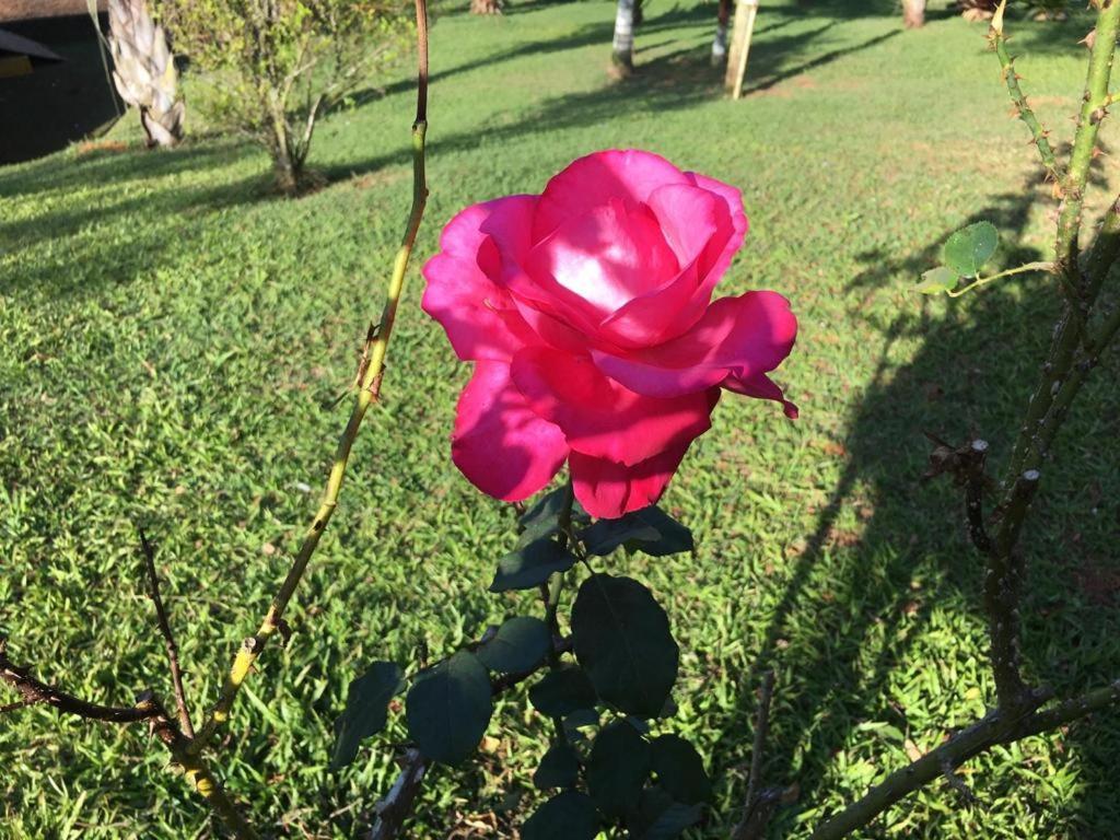 Casa/Sitio Na Serra Em Bom Jardim - Rj מראה חיצוני תמונה