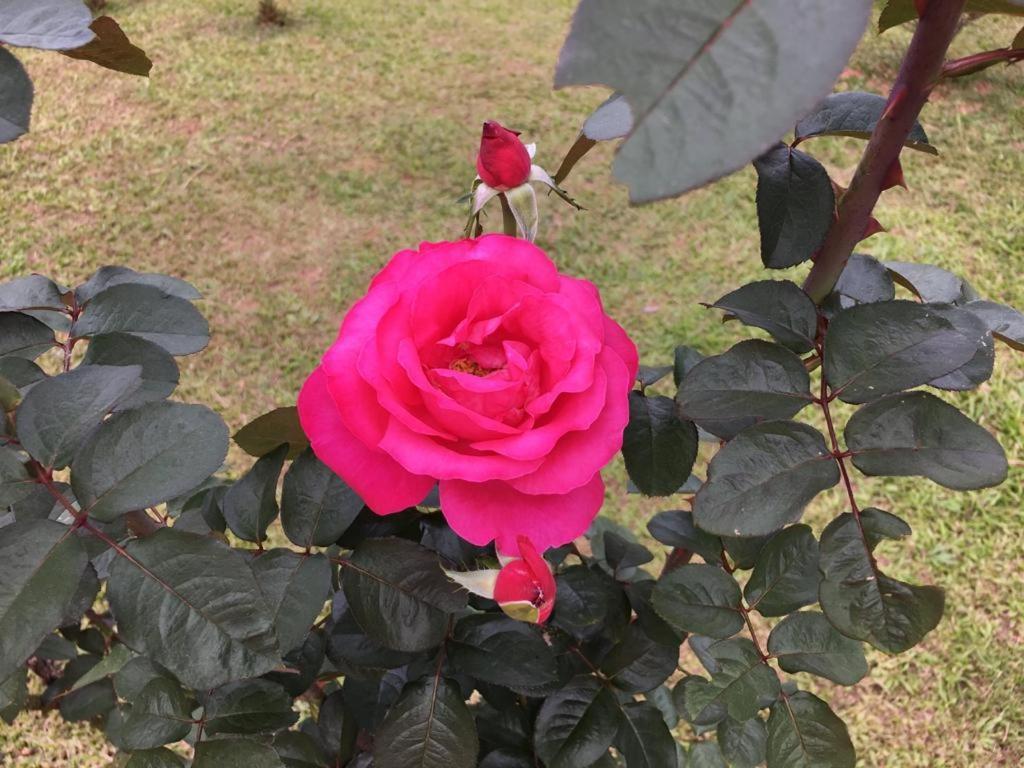 Casa/Sitio Na Serra Em Bom Jardim - Rj מראה חיצוני תמונה